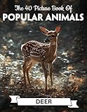  The 40 Picture Book Of Popular Animal: Beautiful Gift for Senior with Dementia or Alzheimer’s Patients