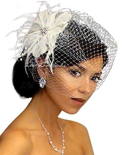 Leslie Li Women's Rhinestone Pearl Feather Fascinator & Bridal Birdcage Veil One Size White 21-F31
