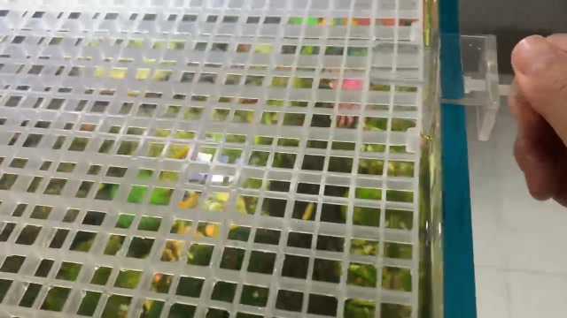 10 Stück Aquarium Netzclips 10mm - Acryl Klemmen Für Fischsprungschutz