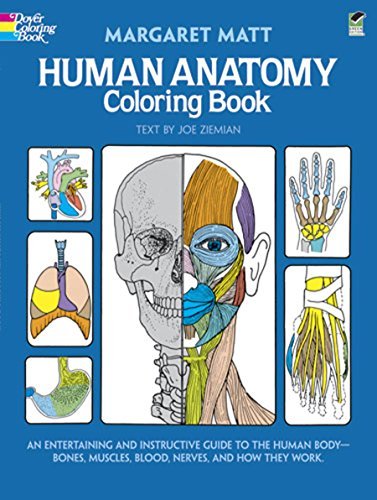 Human Anatomy Coloring Book (Dover Children's Science Books) (Edition 1) by Matt, Margaret, Ziemian, Joe [Paperback(1982PS(c)]