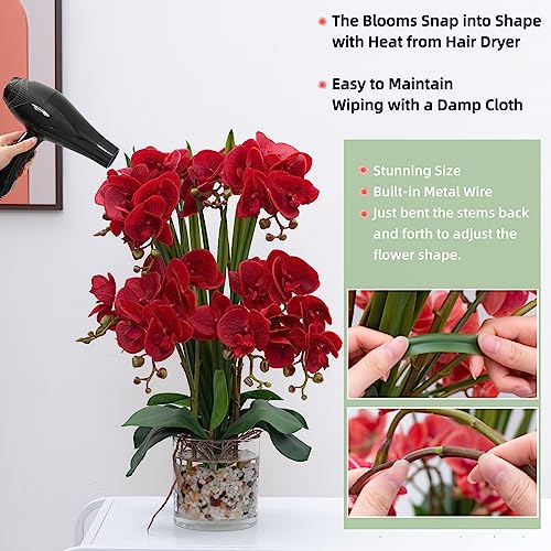 CXGS Artificial Orchid Flower - Real Touch Faux Orchids with Glass Vase in Faux Water - Realistic Fake Orchid - Red Phalaenopsis Floral Arrangements Centerpiece Table Home Indoor Decor