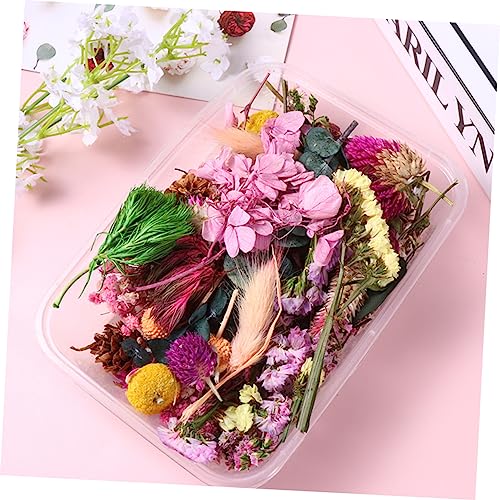 Flores Secas para Manualidades y Decoración miniatura 4