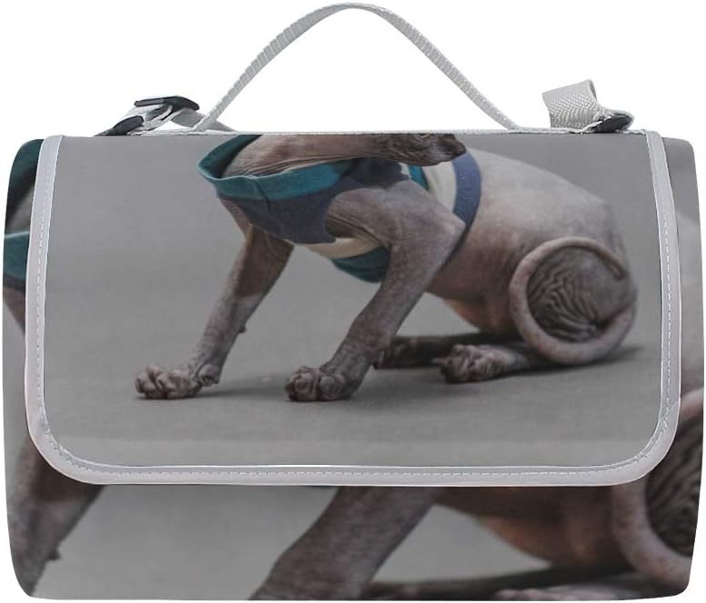 レジャーシート すばやい スフィンクス猫 ピクニック 折りたたみ 撥水 アウトドア クッション マット コンパクト 花見 運動会 キ