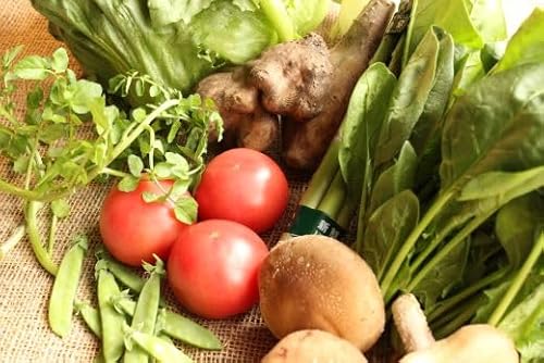 遠野 ふるさと 野菜 便 [ 野菜ソムリエ 厳選]