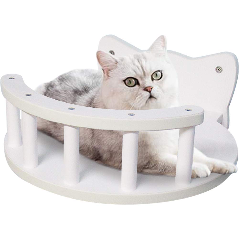 cat play climbing frame