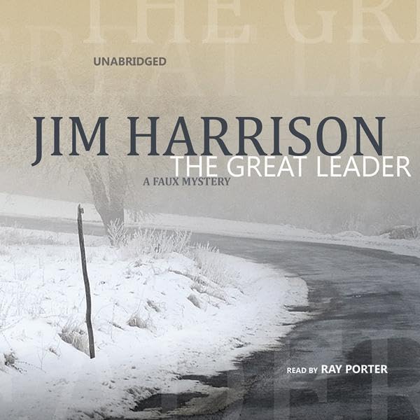 Cover art for The Great Leader
