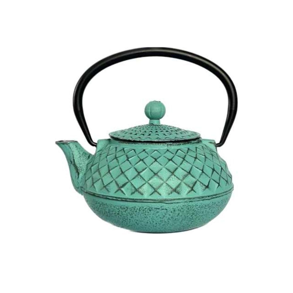 Pruchef 500ml Cast Iron Teapot, Cast Iron Tea Kettle, Jenamel