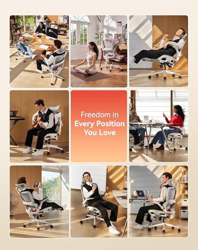 Image of SIHOO B100 Pro Ergonomic Office Chair with Adaptive Lumbar Support, Computer Chair with Dual-Back, Desk Chair with 360 Rotatable & Flip-Up Armrests, 3D Wide Headrest, 2 Packs, Light Grey