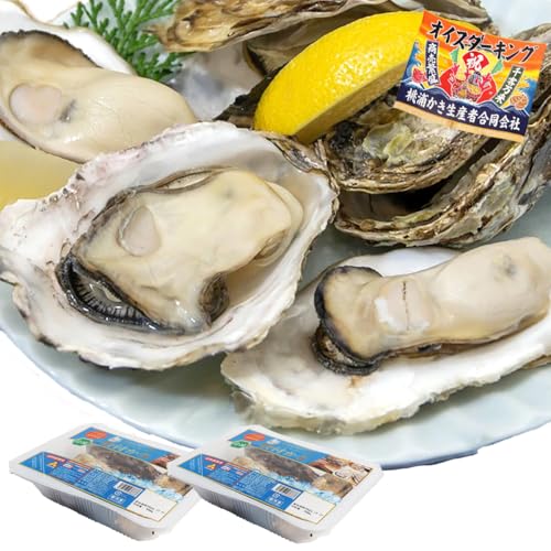 VIVID LIFE y ` 500g×2 Ⓚ 咆TCY 6?12 {錧Y O W  JL kaki CN  Z (1) 500g×2)
