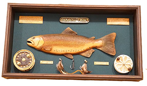 Angel Forelle Fligenfischen Fligenangeln Kasten Rolle Antik Vitrine Nostalgie Deko