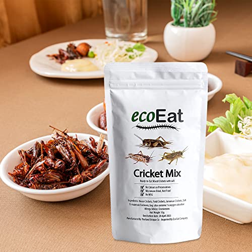 ecoEat Edible Insects Mixed Crickets 15g Bag - Edible Snack Gift - Image 6