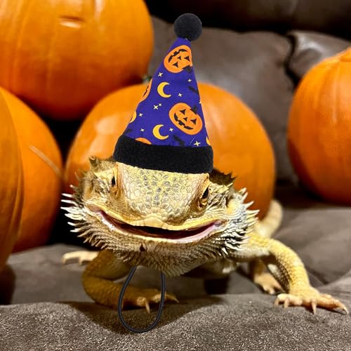 Disfraz Halloween para dragón barbudo con gorro azul miniatura 7