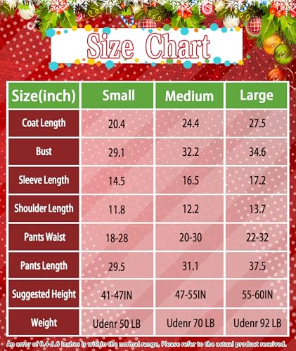 Disfraz completo de Santa Claus para niños talla Medium miniatura 7