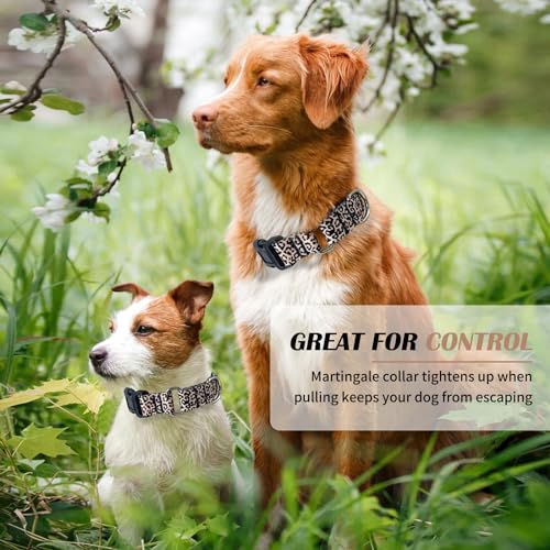 Hikiko Martingale Halsband für Hunde, klassisches Leoparden-Hundehalsband für kleine, mittelgroße und große Hunde, langlebig, ausbruchsicher, Hundehalsbänder (Leopardenmuster, Größe S)
