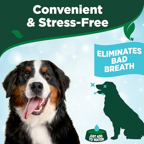 Vet's Best Hunde Atemerfrischer