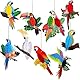 WUBAYI 9er-Pack 3D-Tropischer Vogel Wabenausschnitte – Hängender Papagei, hawaiianisches Partyzubehör für Luau-Stranddekoration, Safari-Klassenzimmer und Dschungel-Thema