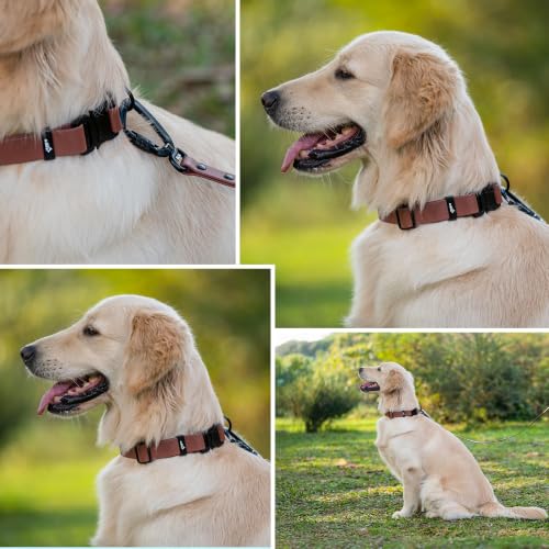 Image of Adil's Biothane Waterproof Dog Collar, Dog Leash & Collar Leash Combo | Heavy Duty TPU Coated Webbing | Adjustable Quick Release Buckle | Odour Resistant (Chestnut, L-22, Collar & Leash Combo)