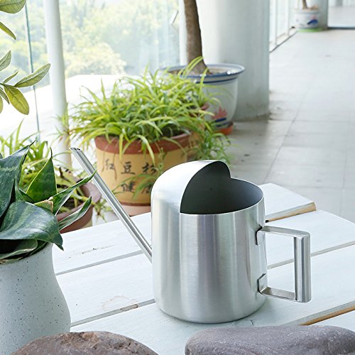 Yisssn Tiny Watering Can For Small Indoor Houseplants Office Desk Plants Bonsai Trees Stainless Steel Mini Watering Can With Long Spout, 10Oz/300Ml (Silver) #TOP4