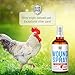 SILVER GRADE Wound Spray for Chicken from Birds & Chicken Antibiotics Alternative to Help with Pecking Sores, Bumblefoot, Cuts – Poultry Spray with Silver – GMOs Free – 4-Oz Bottle