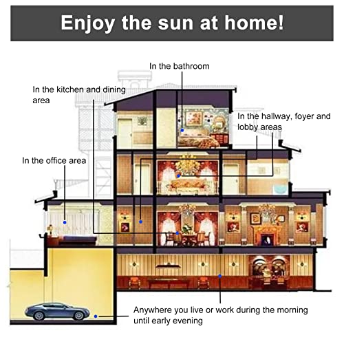 Mcden A19001 A19 Led Bulb 100W Equivalent,Full Spectrum Light Bulb,Light Therapy Lamp Bulb,Daylight Light Bulbs 13W 5000K,Bright White Light Bulbs Enjoy The Sun At Home Happy,2 Pack thumb #6