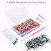 1008 Pcs Hair Beads Kit for Girls and Kids Hair Braids, 500Pcs 9x6mm Glitter Pony Beads, 500Pcs Mini Elastic Rubber Bands, 5Pcs Quick Beaders, 1Pcs Rattail Comb and 2Pcs Duckbill Clips
