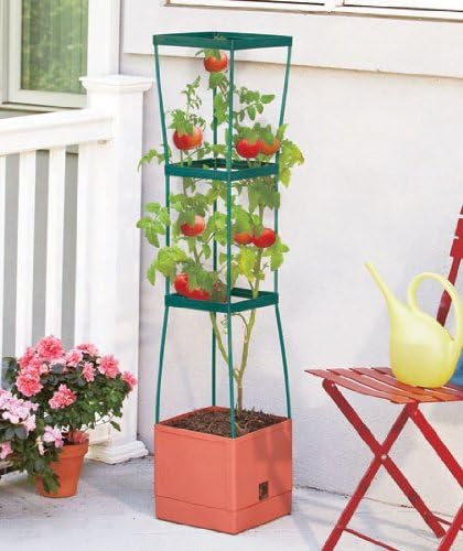 Plant Tower