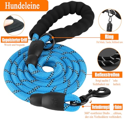 LOBEVE Anti-Zug Hundegeschirr Set mit Halsband & Leine | Inkl. Auto Sicherheitsgurt, Faltbare Näpfe & Kotbeutelspender | Für kleine bis große Hunde | Ideal für Spaziergänge, Training & Reisen