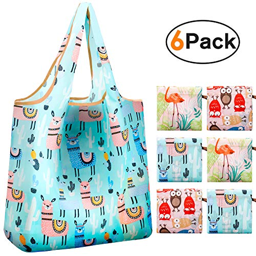 Reger Foldable Nylon Light Weight Compact Grocery Shopping Storage Bags Reusable & Mathine