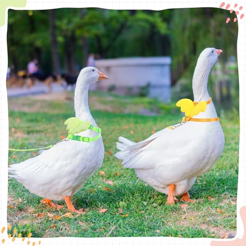 Image of SATINIOR 3 Pack Harness and Leash for Pet Ducks, Real Duck Collar and Leash Soft and Adjustable Harness Training Traction Rope Collar for Young Adult Pet Goose Chicken Hen(Pink Green Yellow,M)