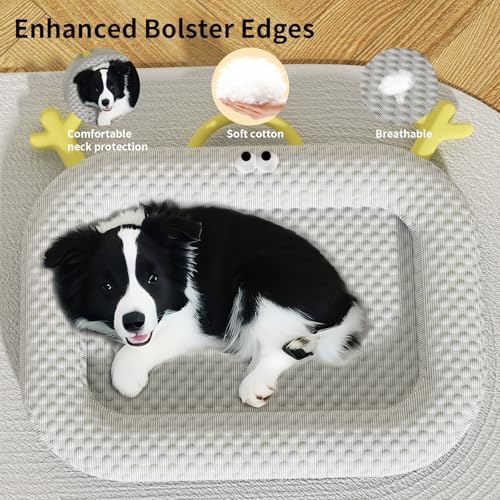 Marchul All-Season-Katzenbett, Katzenbett für Wohnungskatzen, 50 x 40cm Große Hundematratze mit Rutschfester Unterseite, Maschinenwaschbare Schlafunterlage für Haustiere
