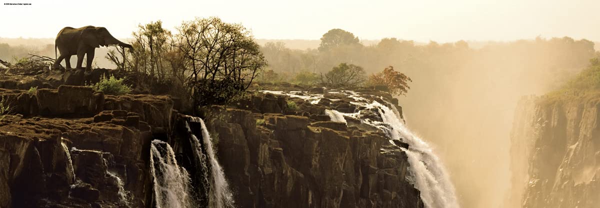 Elephant Puzzle: 1000 Teile : Humboldt, Alexander von