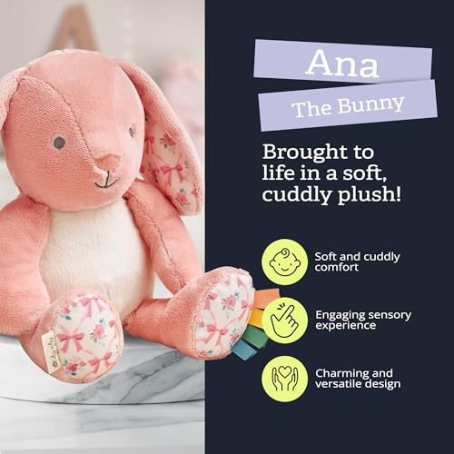 50% Off Itzy Ritzy Snuggles Plush Toy - Soft Sensory Bunny