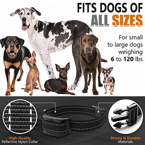 smartwood bark collar