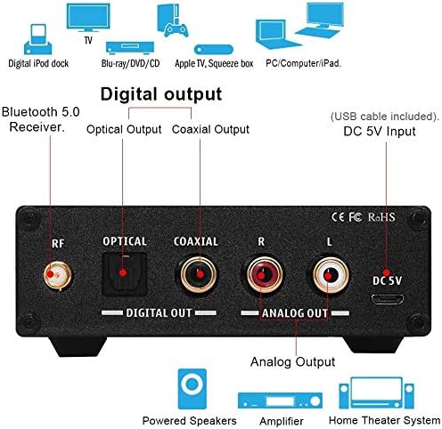 Rear panel of Fosi Audio BR10C with labeled ports