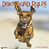 Dachshund Rules 2018 Calendar