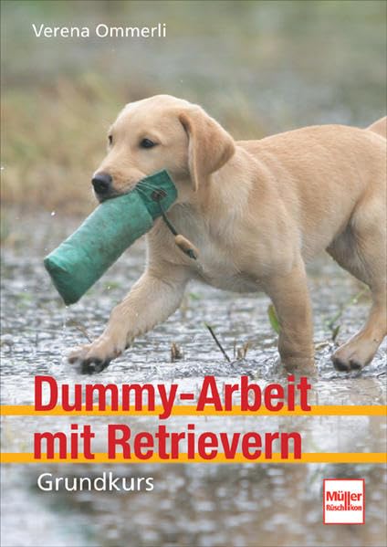 Dummy-Arbeit mit Retrievern: Grundkurs