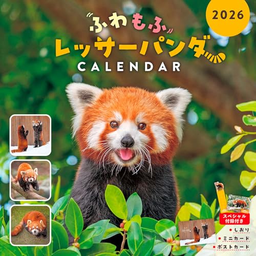【購入者限定特典付き】ふわもふレッサーパンダCALENDAR(月めくり/壁掛け/420mm×210mm)(かわいいレッサーパンダの「ペーパーアイテム」封入) (インプレスカレンダー2026) 【購入者限定特典付き】ふわもふレッサーパンダCALENDAR(月めくり/壁掛け/420mm×210mm)(かわいいレッサーパンダの「ペーパーアイテム」封入) (インプレスカレンダー2026)