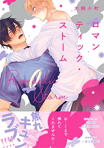 【電子限定特典付】ロマンティック・ストーム (Spicy Whip)