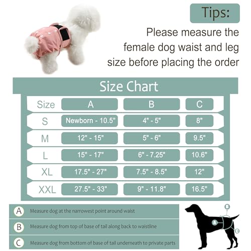 Image of Washable Female Dog Diapers - Premium Reusable Diapers for Doggie in Heat - Highly Absorbent Dog Diapers Female for Pet Incontinence with Adjustable Snaps (Pink, L)