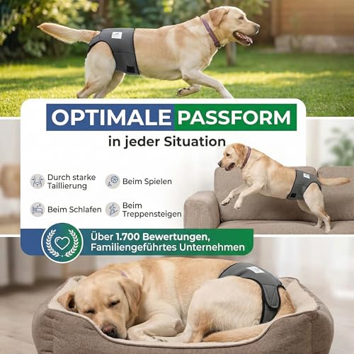 Nature Pet Hunde-Läufigkeitshose für Hündinnen - Hundewindel für Rüden - Kein lästiges Einfädeln der Rute - Inkontinenz Hundehöschen - (XS-L Schwarz)