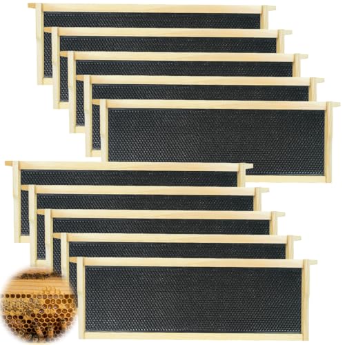 Medium Super Beehive Frames and Wax Foundations Honey Bee Frames with 100% Beeswax Coated Foundation Sheets Bee Hive Frame and Foundation 10 Pack
