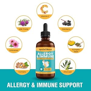   Allergy-Immune-with-Elderberry-Allergy-Relief-for-Cats-and-Dogs-Anti-Itch-Treatment-Relief-for-Pet-Allergies-Immune-Support-for-Cat-or-Dog-4-oz