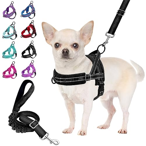 SlowTon Set di pettorina e guinzaglio per cani di piccola taglia a vestibilità rapida, gilet imbottito con sicurezza e bungee regolabile