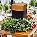 LINES ARTE Urns for Ashes Adult Male or Female, 10x6x6Inch Solid Wooden Funeral Memorial Urns Box for Human Ashes Men/Dad/Mom/Female with Velvet Bag