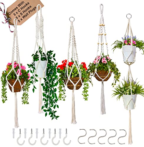 Plantes D'intérieur Sur L'icône De Cintres En Macramé | Vecteur Premium