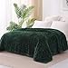 Exclusivo Mezcla Kuscheldecke Fleece Decke, Flauschige Sofadecke 220 x 240 cm, Jacquard-Überwurfdecke Wohndecke Tagesdecke, Warm und Leicht für Ganzjahreszeit, Dunkelgrün