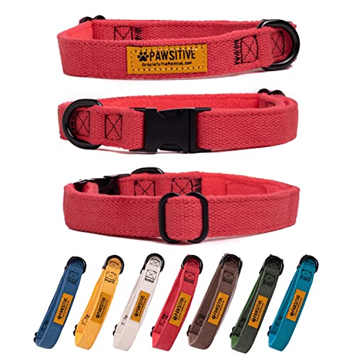 Pawsitive Hemp Dog Collar - Super Soft Hypoallergenic