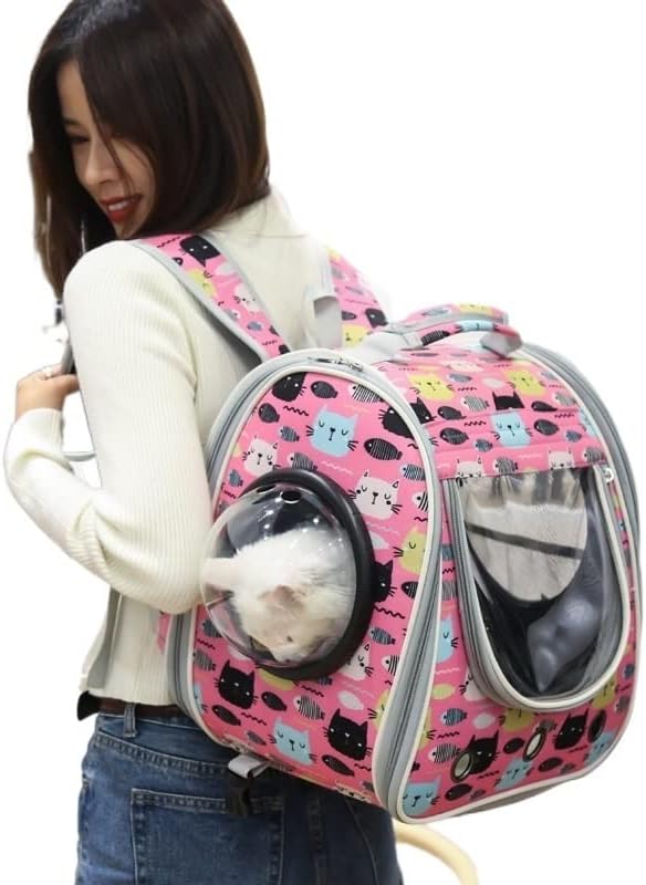 ヒマラヤ聖者の生活探究 全5巻セット 特製クロス箱入 ヒマラヤ聖者の