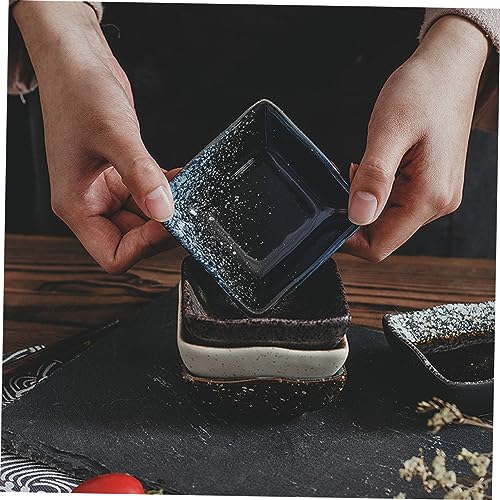 Set 5 platos de cerámica estilo japonés para sushi miniatura 5