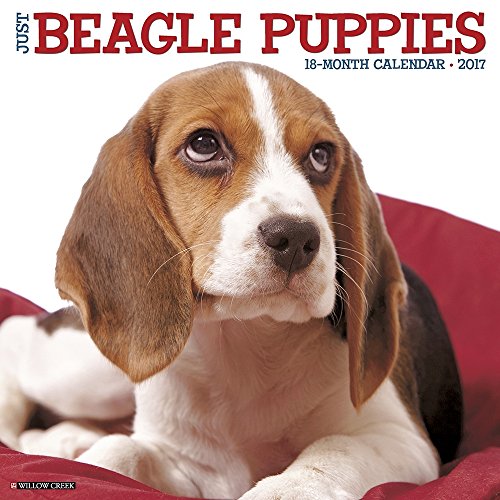 Just Beagle Puppies 2017 Wall Calendar (Dog Breed Calendars)